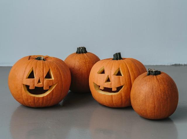 2 carved Halloween pumpkins and 2 uncarved pumpkins