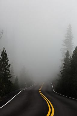 foggy road at night